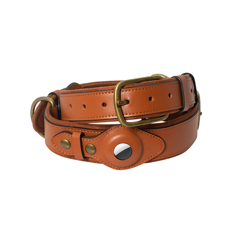 PSP-NP05 Genuine Leather Dog Collar